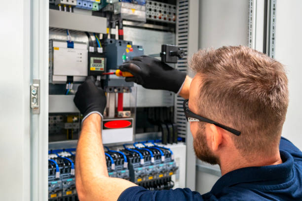 Best Electrical System Inspection  in Carrizo Hill, TX