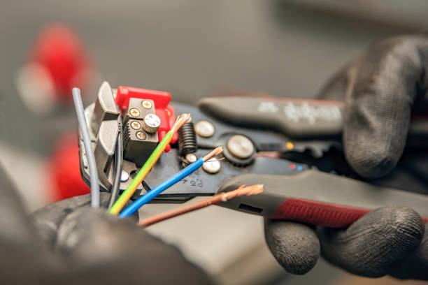 Best Licensed Electrician  in Carrizo Hill, TX