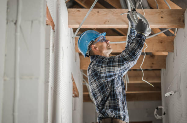 Best Licensed Electrician  in Carrizo Hill, TX